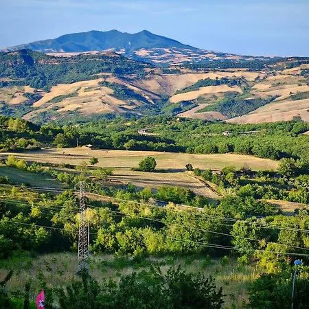 호텔 Numa Living *